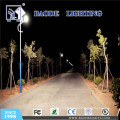 9m 60W Solar LED Street Lights (BDSL-320)